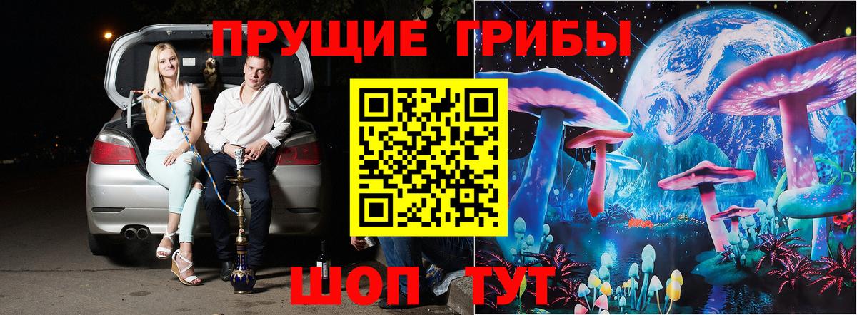 Павлово  Галлюциногенные грибы Magic Shrooms  Псилоцибиновые грибы Psilocybe  Вход с VPN 