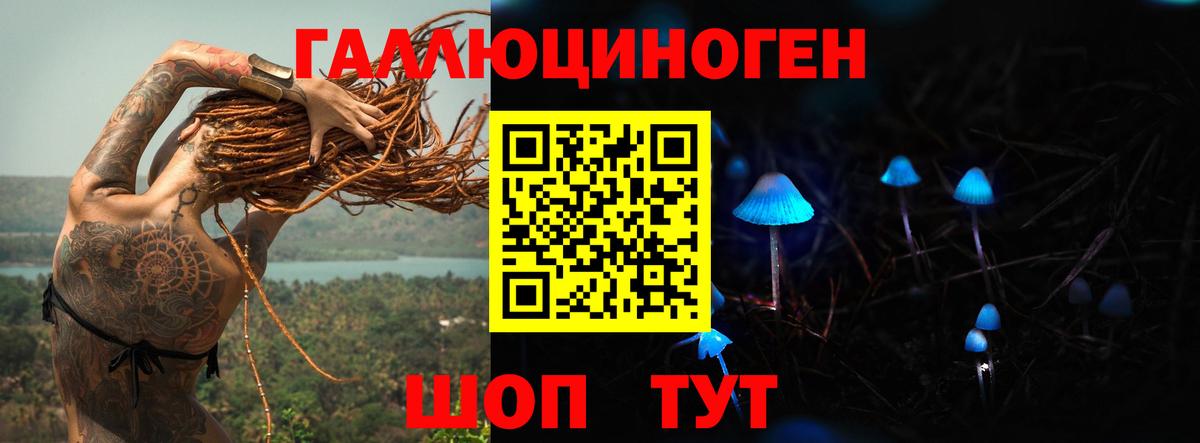 Псилоцибиновые грибы ЛСД Павлово